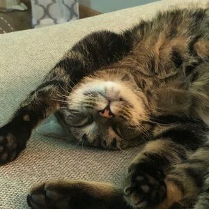 Meet your Posher, Christine